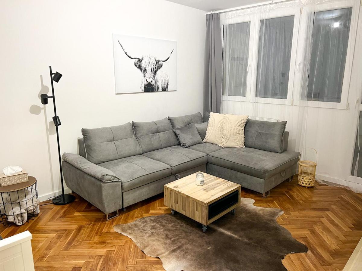 Apartman Visek Jachymov Bagian luar foto