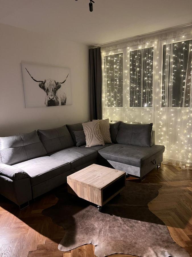 Apartman Visek Jachymov Bagian luar foto